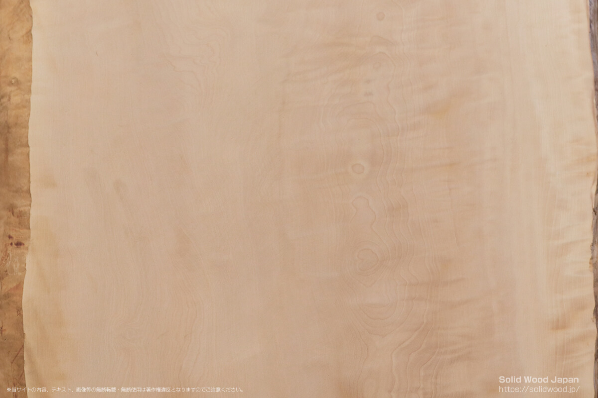 トチ（栃）の一枚板 | 無垢材とは | 一枚板比較