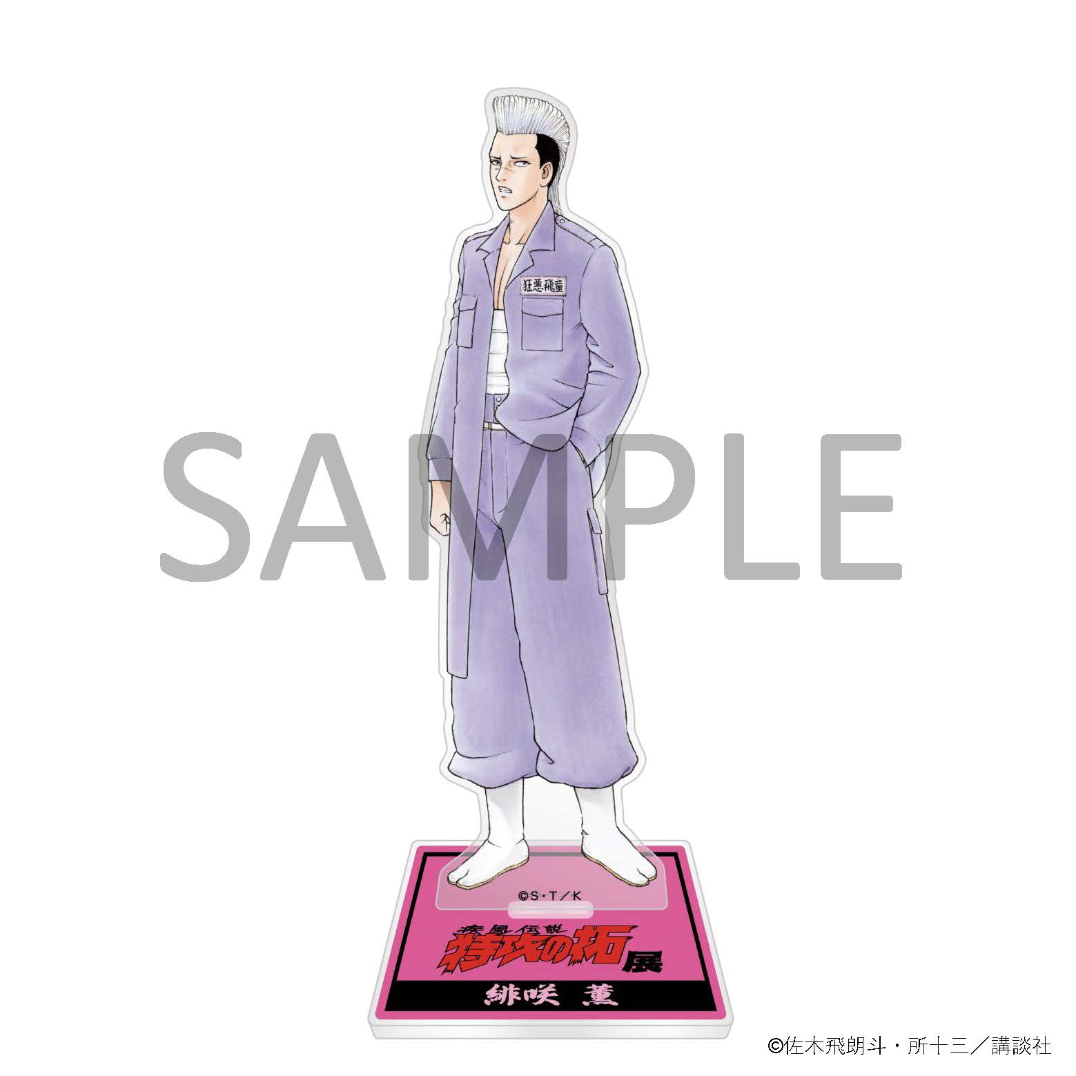 疾風伝説 特攻の拓展」同時通販