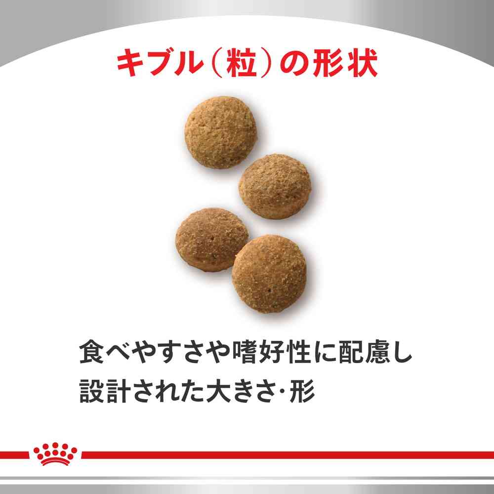 猫用 満腹感サポート 2kgx1