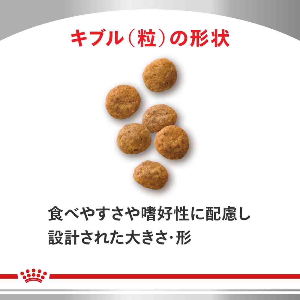 猫用 ユリナリーS/O+エイジング7++CLT 2kgx1