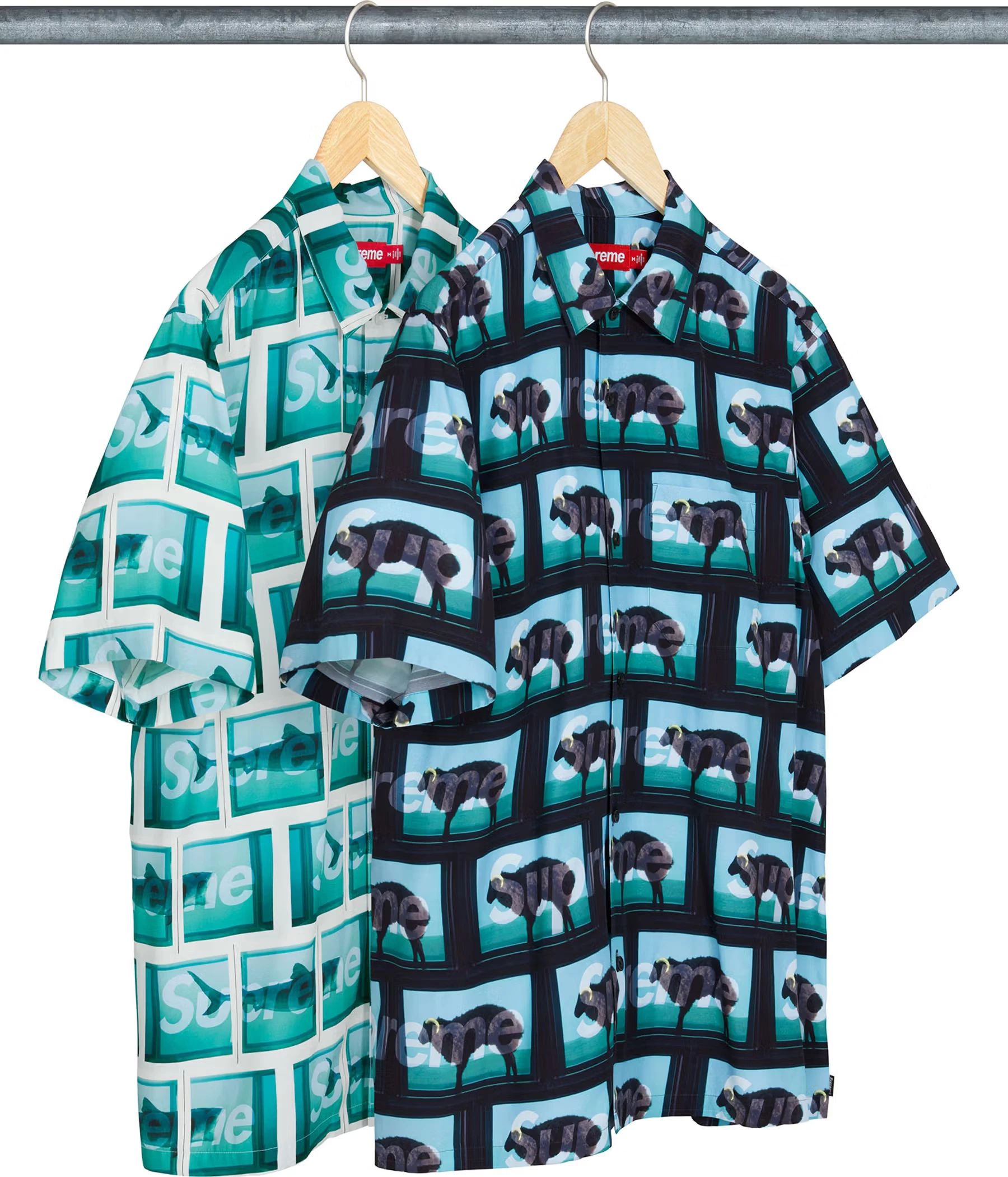 Supreme/Damien Hirst S/S Shirt | Supreme 25ss