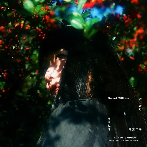 からかひ と あまねき 12