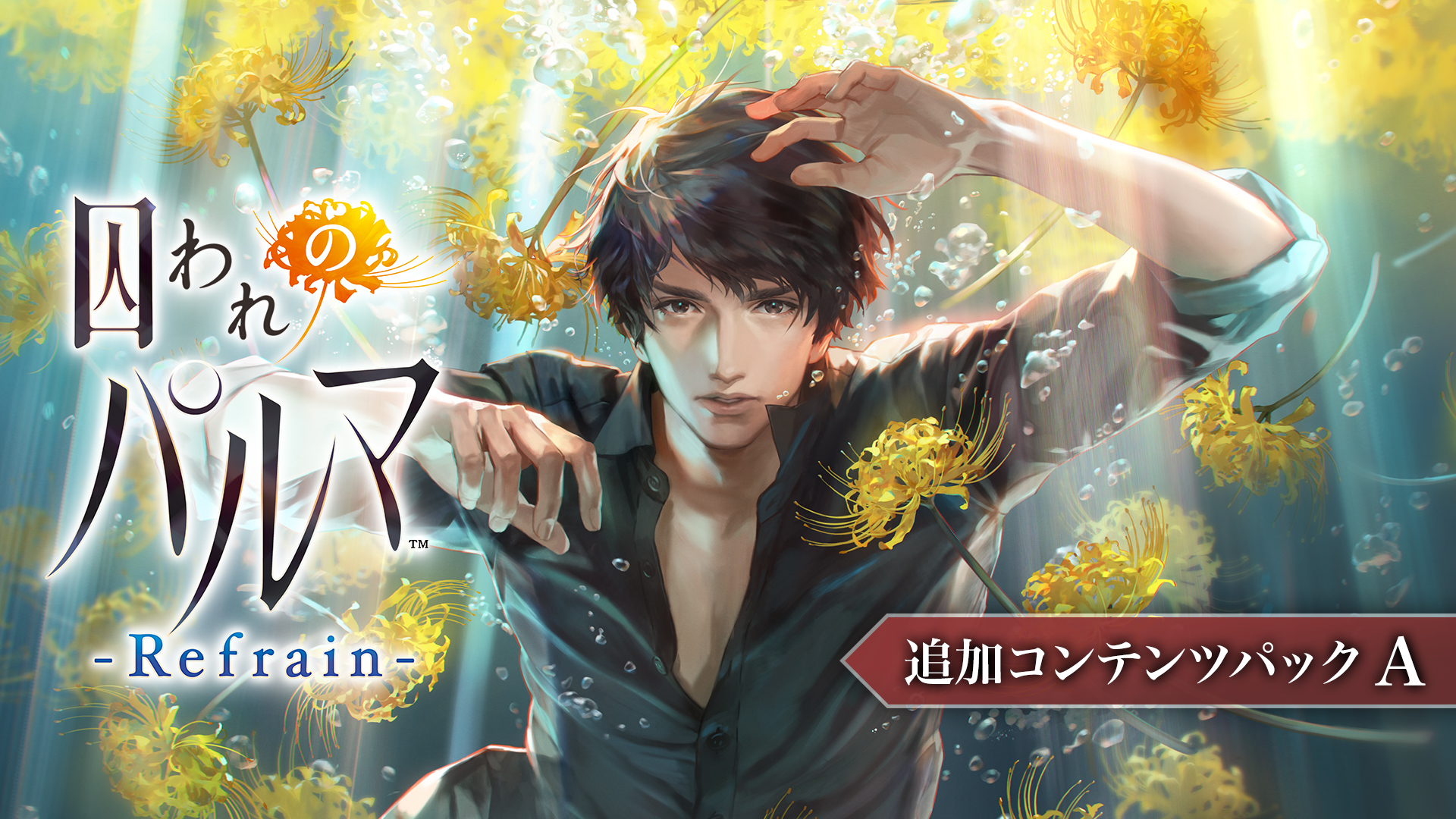 囚われのパルマ Refrain デラックス エディション | My Nintendo Store