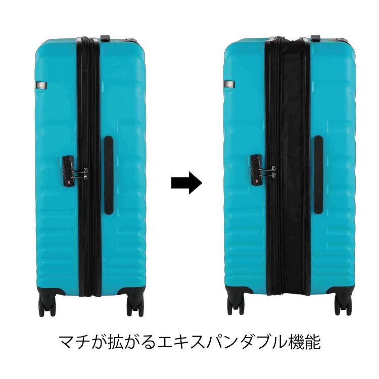 ACE オーバル2 スーツケース 拡張機能 90L/111L 05913(01：ブラック