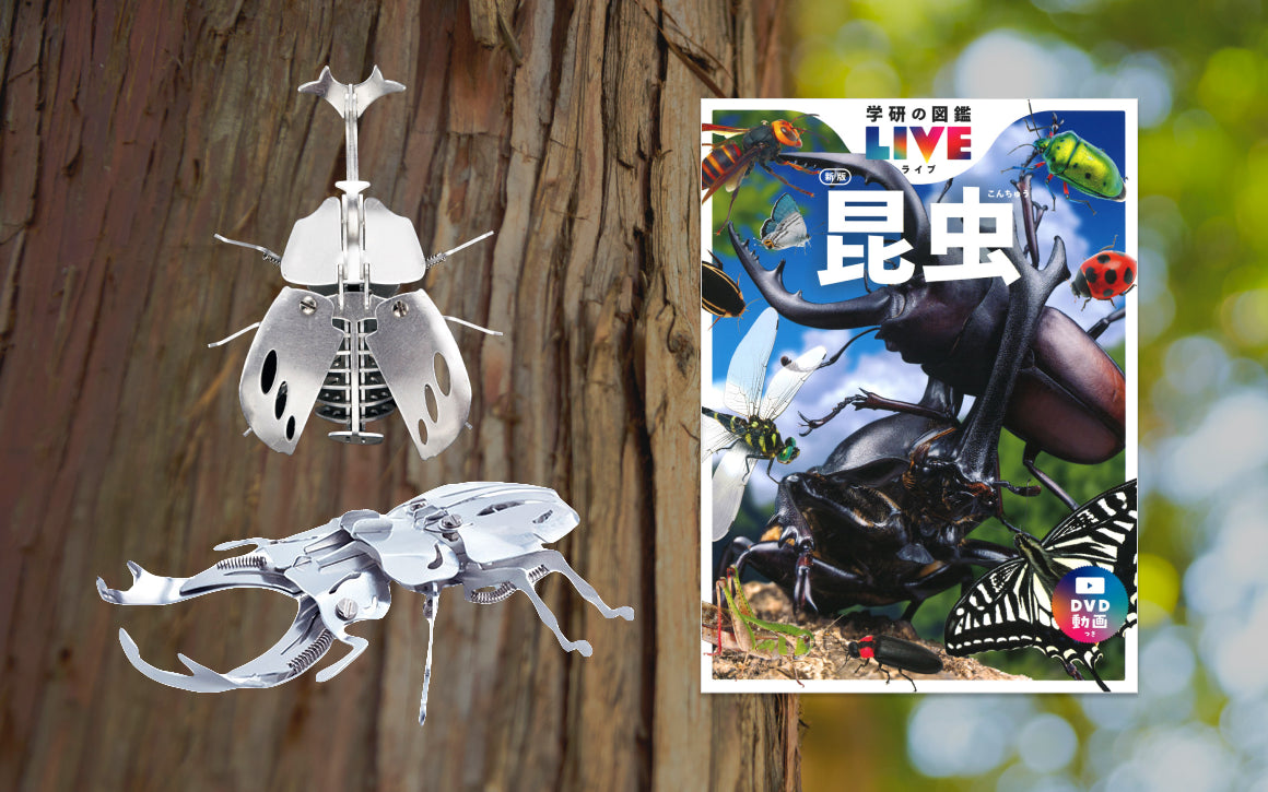 feature_gakken-kontyu_01.jpg?v