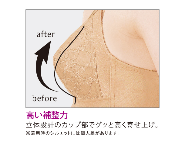 しっかり補整・ロングセラーブラジャー ＜Cシリーズ＞ FA023 │ 通販