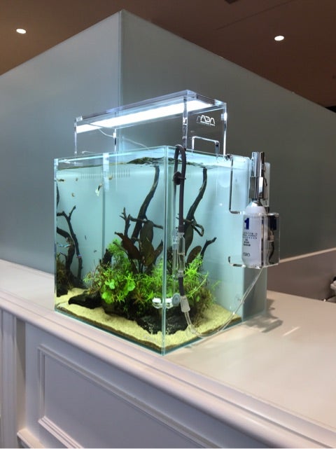 ☆システムアクア30の設置☆ | AQUA World パンタナル Official BLOG