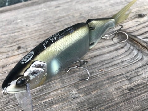 コールドナイトにAGスメルト。 | BACKLASH STAFF BLOG