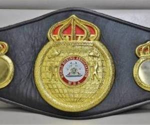 それぞれの〜チャンピオンベルト！》特別編／No.925