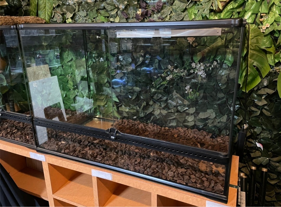 中古（店内使用）グラステラリウム9060販売致します(^^♪ | Fantastic