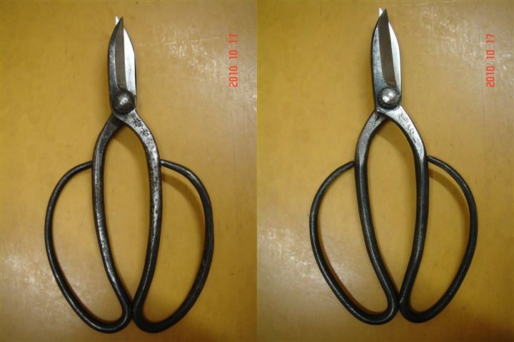 5寸の刈込、柄付けの前に…….。 | 植木鋏とガーデンデザイン 野﨑幸夫