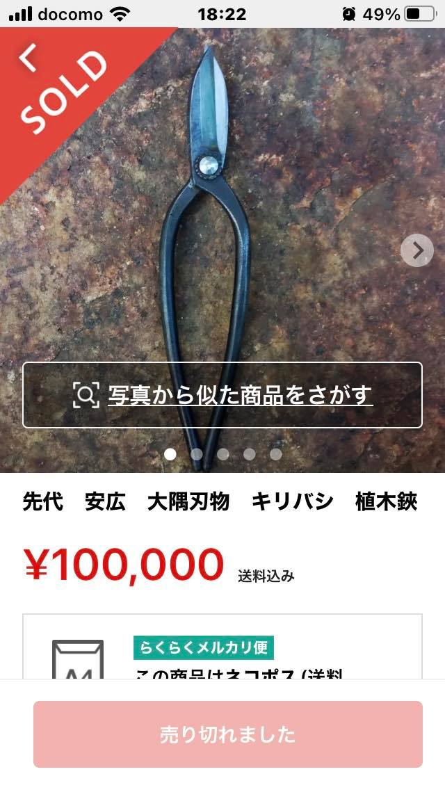 5寸の刈込、柄付けの前に…….。 | 植木鋏とガーデンデザイン 野﨑幸夫