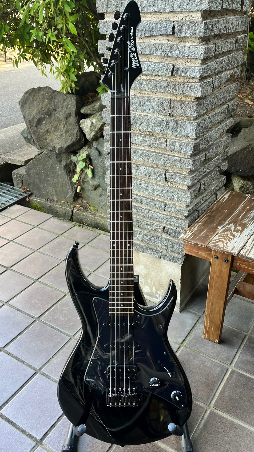 Black Dog by Aria Pro II | ギターいじりは楽しい！