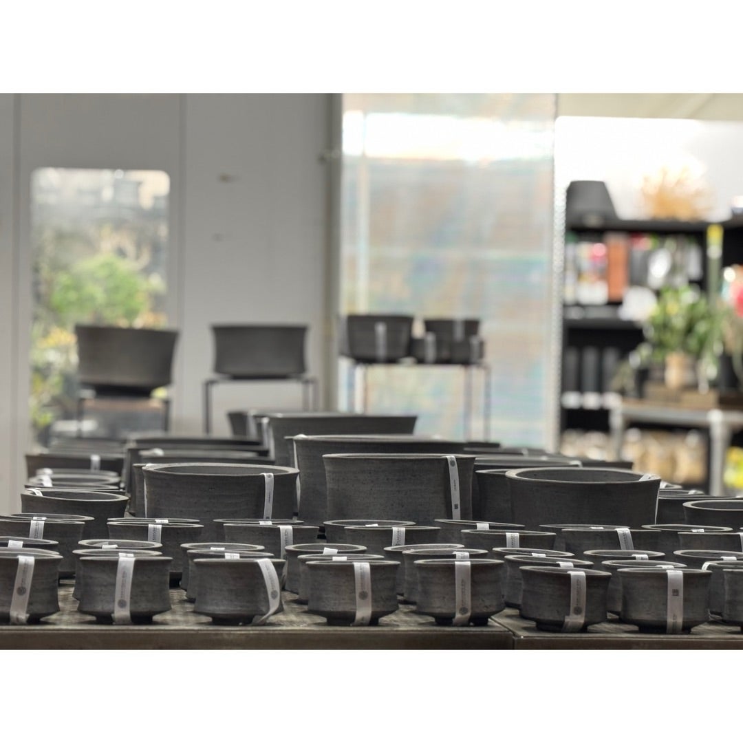 鶴仙園池袋店入荷情報‼️2025/1/5 | 鶴仙園 Official Blog