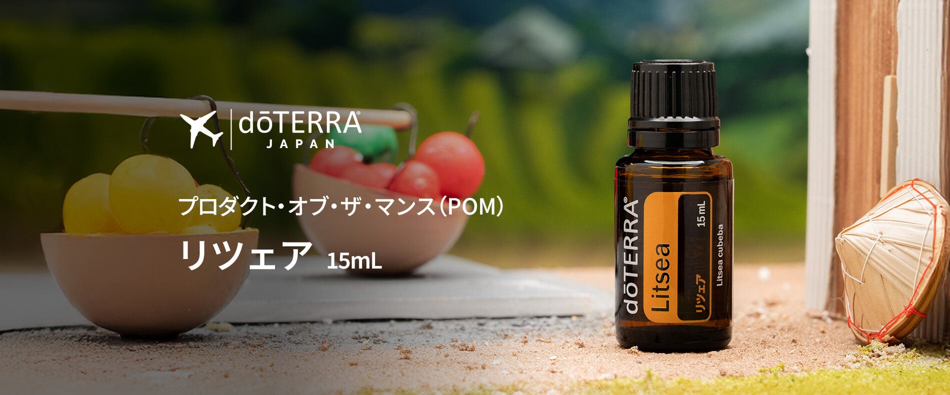 ドテラお得情報】2025年12月のキャンペーン情報＆プレゼントオイル