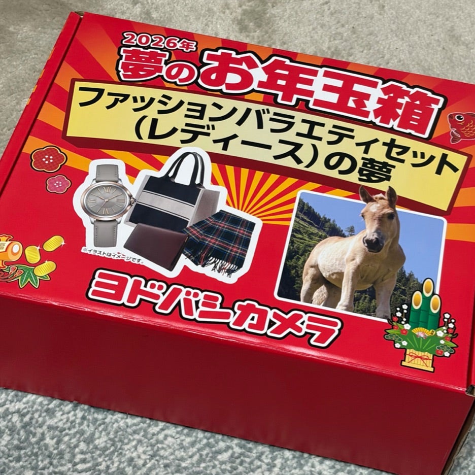 福袋】ヨドバシカメラ ファッションバラエティの夢 | 管理職ワーママの