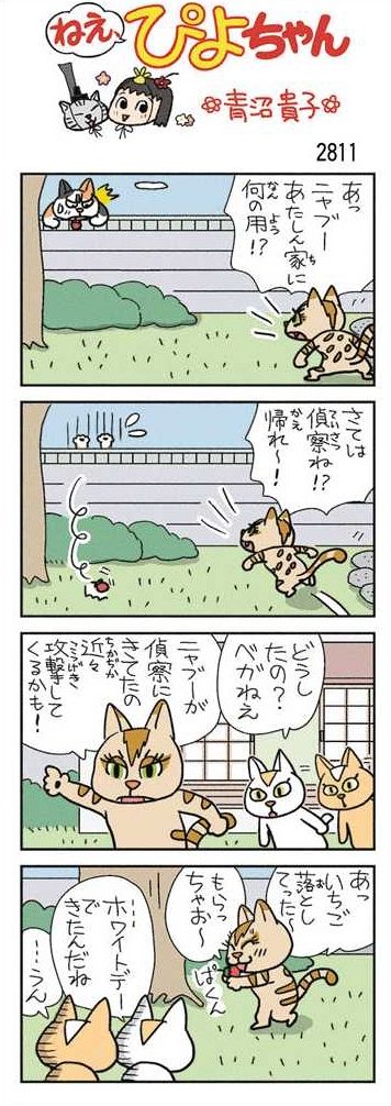 ねえ、ぴよちゃん：中日新聞Web