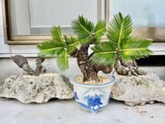 m16758598997_1.jpg?1753693360