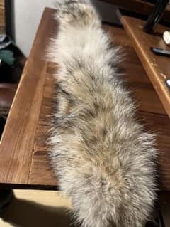 カナダグース コヨーテ ファー のみ - メルカリ