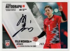 m31244808486_1.jpg?1754100058