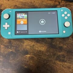 Switchライト本体(コーラル)＋ケース付/動作確認済/ボロあり/箱なし