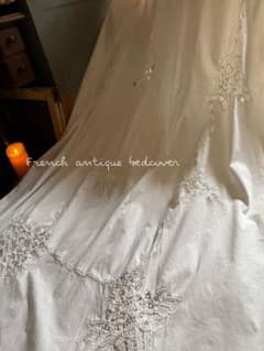 SALE❣️フランスアンティークஐ⋆* ふんわりバテンレースの花刺繍