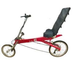 m78299805234_1.jpg?1752165959