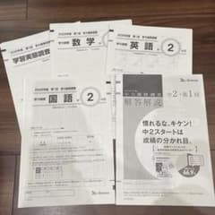 m84930375823_1.jpg?1745474803