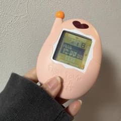 m99369720589_1.jpg?1737114476