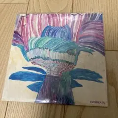 2026年最新】evisbeats レコードの人気アイテム - メルカリ
