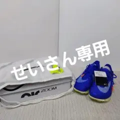 2026年最新】エアズームヴィクトリーの人気アイテム - メルカリ