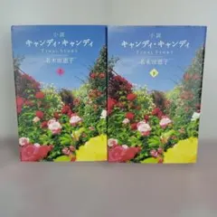 2026年最新】キャンディ・キャンディ final storyの人気アイテム
