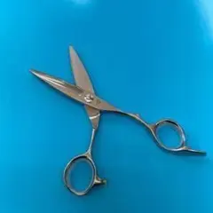 2026年最新】笹刃シザーの人気アイテム - メルカリ