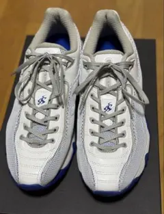 2026年最新】KiKO kostadinov asics gel teremoaの人気アイテム - メルカリ