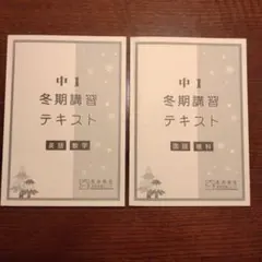 2026年最新】馬渕 理科 中1の人気アイテム - メルカリ