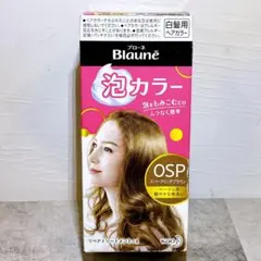 2026年最新】ブローネ泡カラー0SPスパークリングブラウンの人気