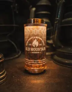 2026年最新】molds 38灯の人気アイテム - メルカリ