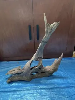 2026年最新】ホーンウッド adaの人気アイテム - メルカリ