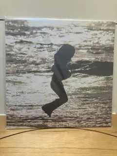 2026年最新】踊ってばかりの国 lpの人気アイテム - メルカリ