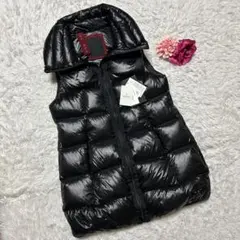 2026年最新】TATRAS ダウンベスト・キルティングベストの人気アイテム