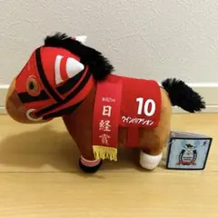 2026年最新】楽市楽座・アドアーズ・アラクレ限定の人気アイテム