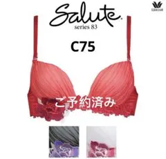 2026年最新】女優ブラの人気アイテム - メルカリ