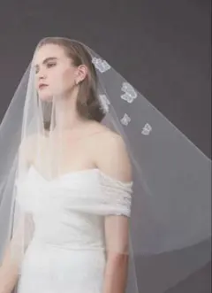 2026年最新】トリートドレッシング ベール 蝶の人気アイテム - メルカリ