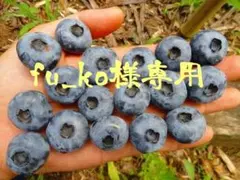 2026年最新】ブルーベリー穂木の人気アイテム - メルカリ