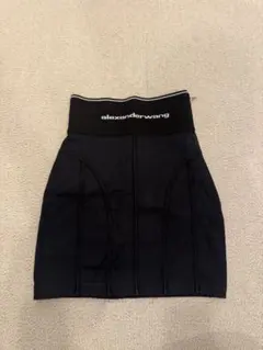 2026年最新】alexander wang スカートの人気アイテム - メルカリ