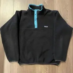 2026年最新】パタゴニア シンチラスナップt ブラックの人気アイテム