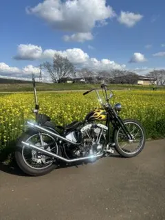 2026年最新】ショベルヘッド純正の人気アイテム - メルカリ