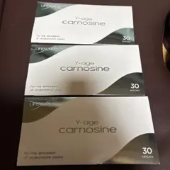 2026年最新】ライフウェーブカルノシンの人気アイテム - メルカリ