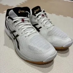 2026年最新】ローテジャパンライトff3の人気アイテム - メルカリ