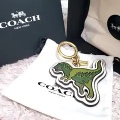 2026年最新】coach レキシー チャームの人気アイテム - メルカリ